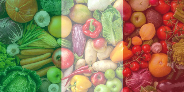 Il mondo delle Op: confronto tra Italia, Spagna e Francia